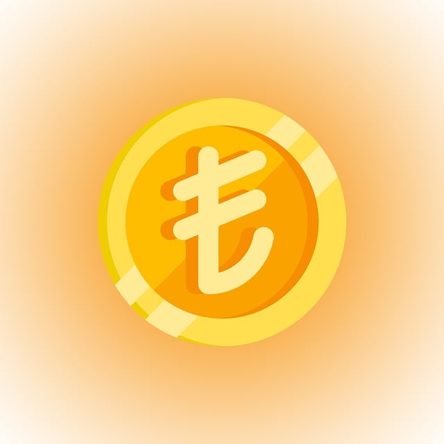 Free turkish lira coin symbol illustration