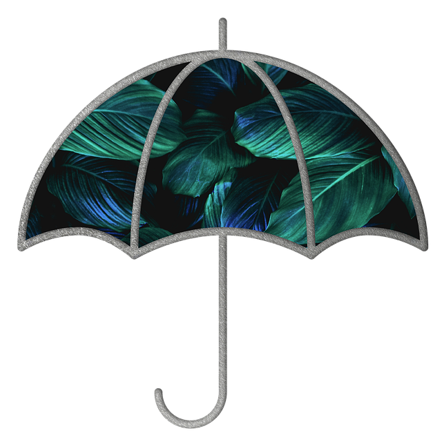 Free umbrella leaves foliage illustration