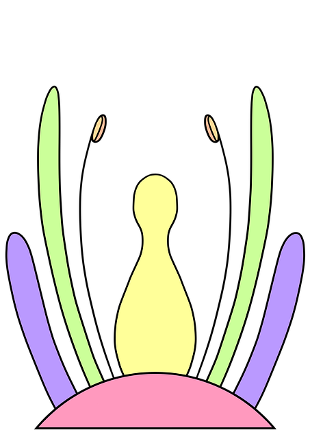 Floare, Inflorescenţă, Botanică