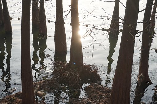 Free Spring Scenery photo and picture