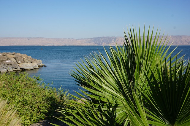 See Genezareth, Israel, See, Wasser