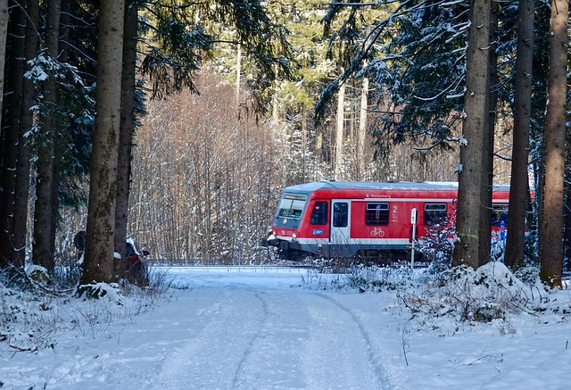 Free Train Snow photo and picture