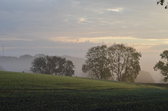 Image Colline Colline Sur Le Terrain Brouillard - Photo gratuite sur Pixabay - Pixabay