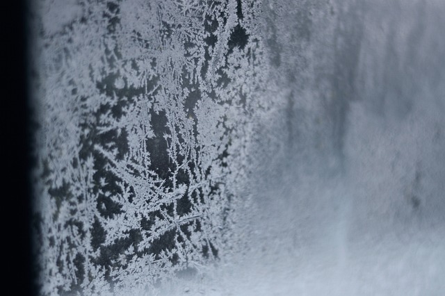 Neve, Cristal, Geada, Gelo