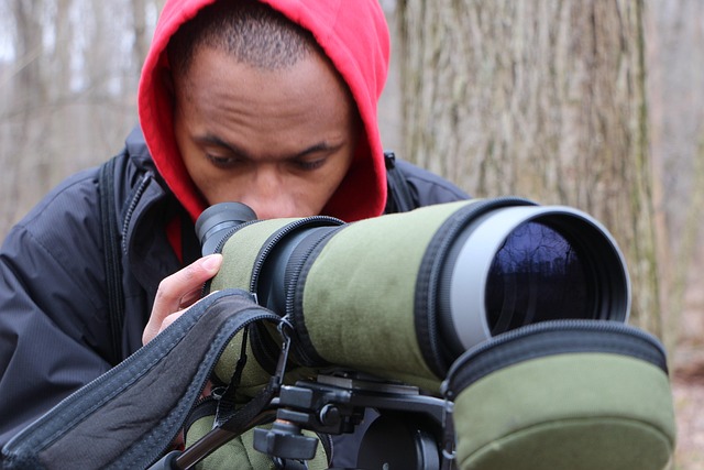 Free Birding Birdwatching photo and picture