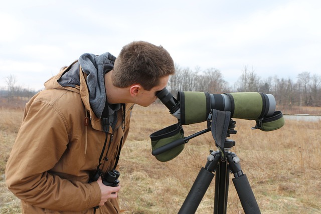 Free Birding Bird Watching photo and picture