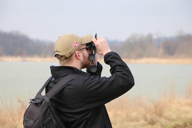 Free Birding Bird Watching photo and picture
