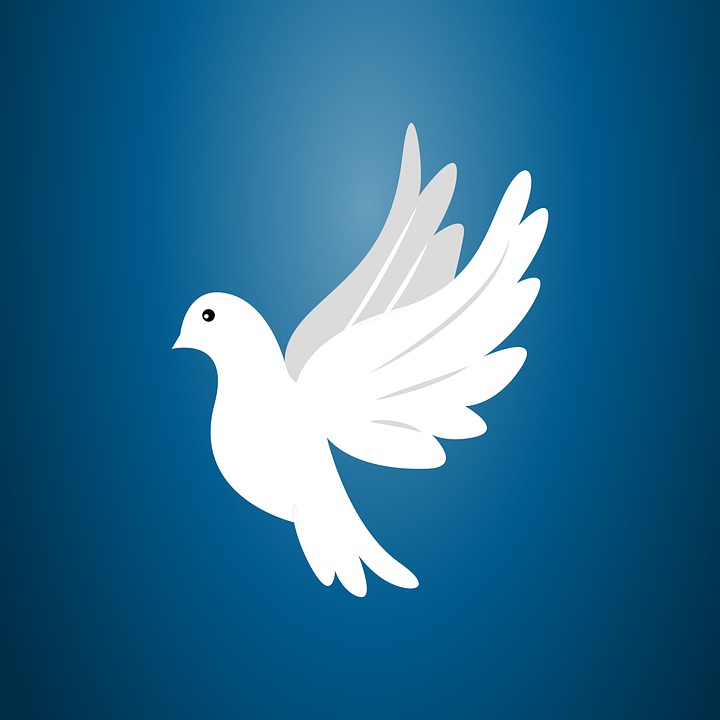 Dove Freedom Symbol Dove Freedom Symbol