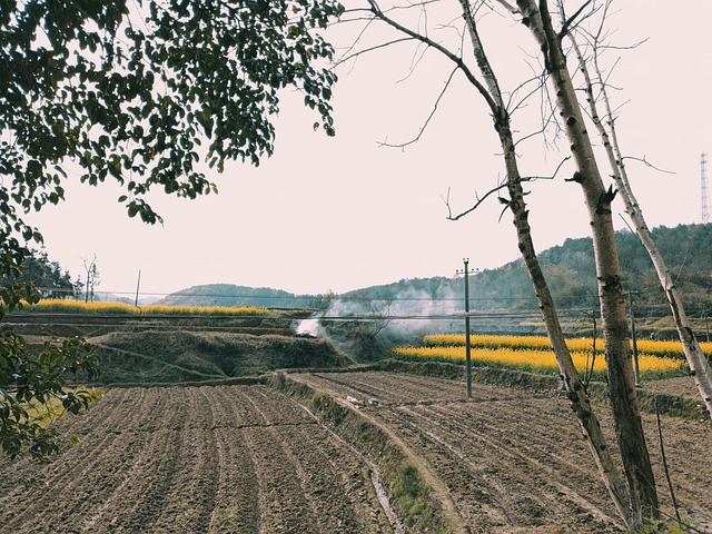 Contador, Granja, Área Rural, Agricultor