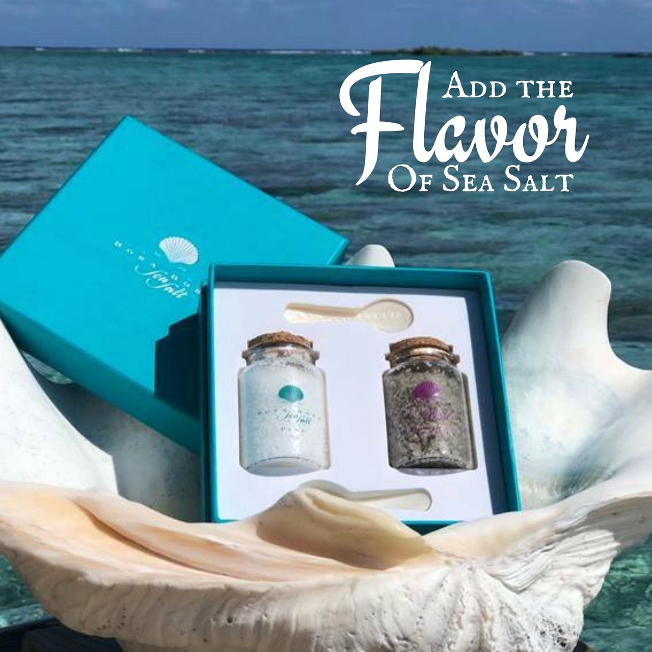 seasalt shoes sale