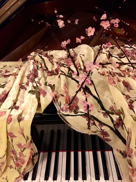 Free Silk Cloth Cherry Blossom photo and picture