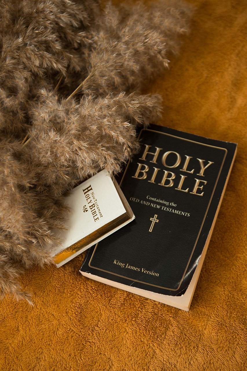 Alkitab Buku Membaca - Foto gratis di Pixabay - Pixabay