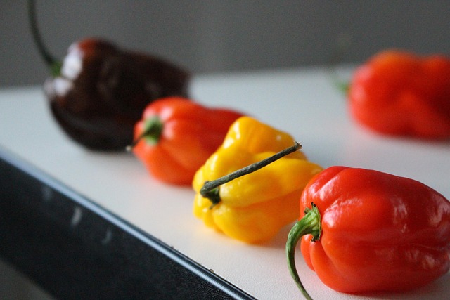Free Peppers Vegetables photo and picture