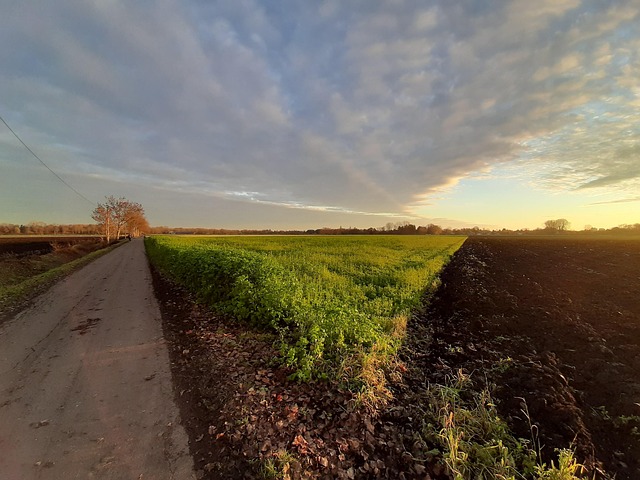 Free Sunset Dirt Road photo and picture