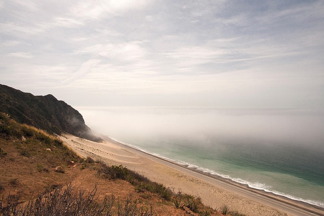 Free Beach Fog photo and picture
