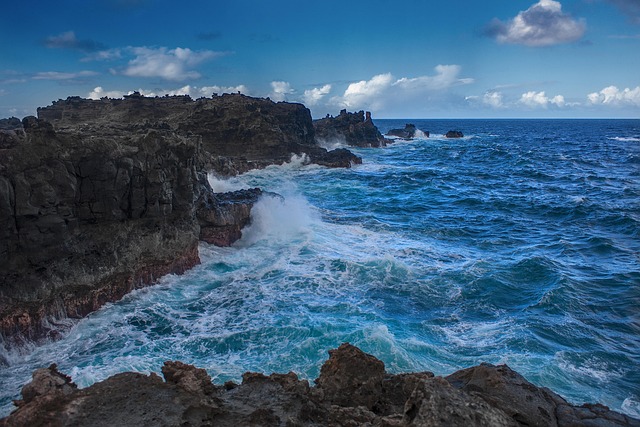 Free Ocean Waves photo and picture