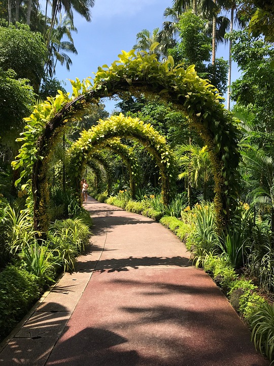 Green Arches Path - Free photo on Pixabay - Pixabay