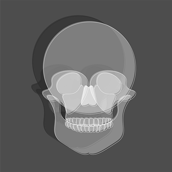 Skull, Line, En Linje, Kranium
