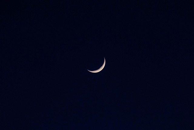 Free Moon Night photo and picture
