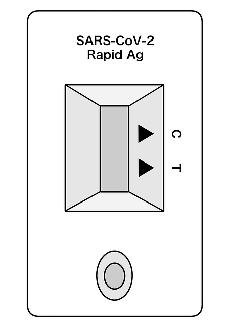 Test Covid-19, Test Rapid
