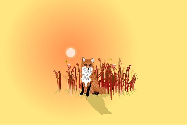 Vos, Wild, Natuur, Dier