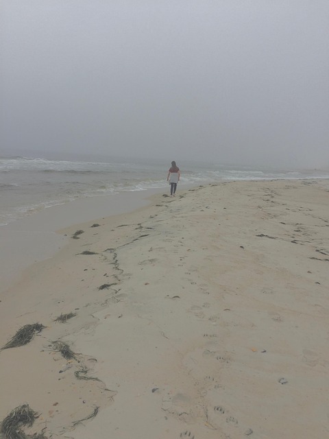 Free Fog Beach photo and picture
