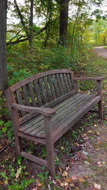Free Bench Moss photo and picture