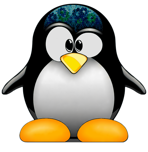 Hyper, Smoking, Web, Linux, Ubuntu, Www