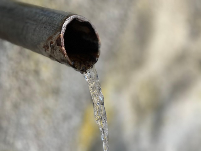 L'Eau Vie - Photo gratuite sur Pixabay - Pixabay