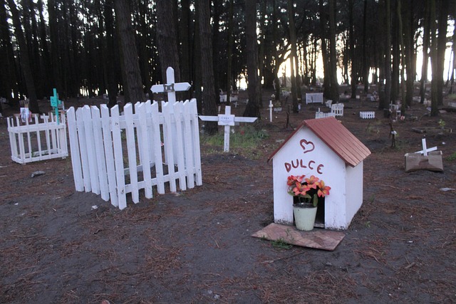 Free Pets Cemetery photo and picture