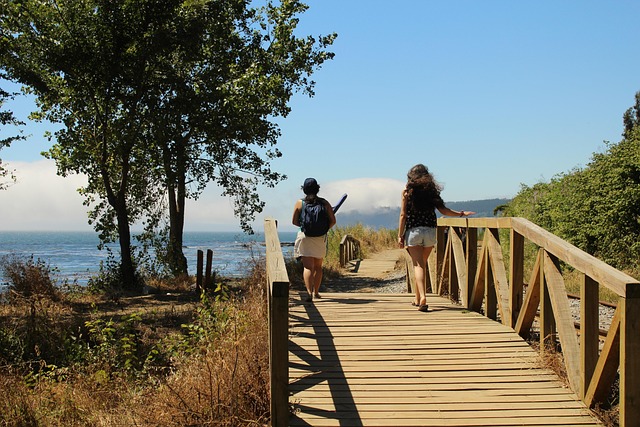 Free Walk Bridge photo and picture