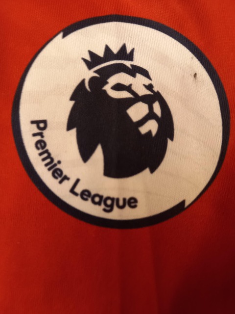 Free Premier League Badge photo and picture