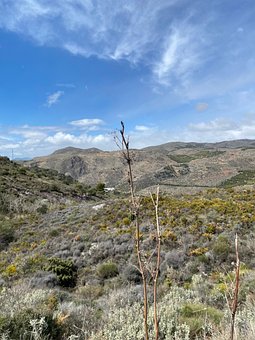 Free Sierra Mountains photo and picture