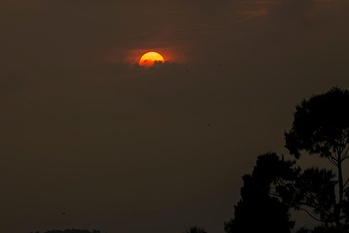 Free Sun Afternoon photo and picture