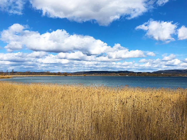 Bodenmeer, Radolfzell, Water, Wolken