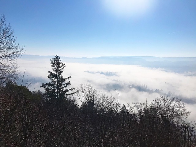 Wolk Steen, Zwitserland