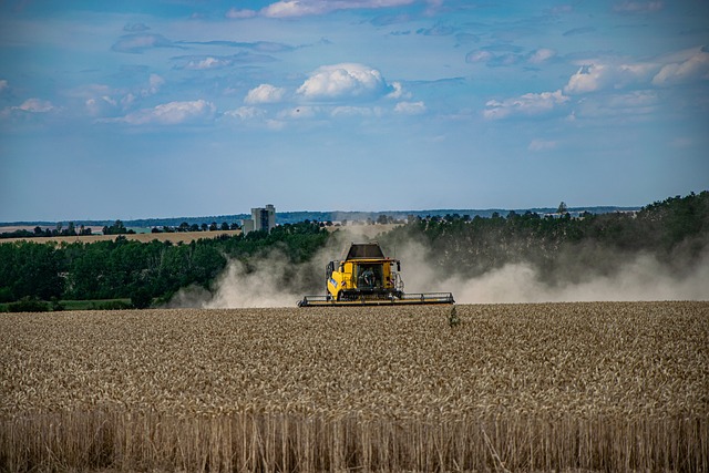 Veld, Combineren Harvester, Oogst
