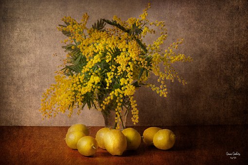 Mimosas, Citroenen, Schoolbord