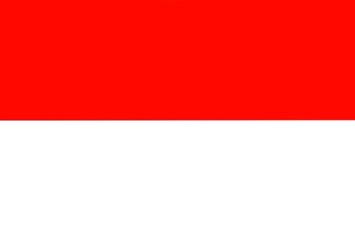 Free Indonesia Indonesia Flag photo and picture
