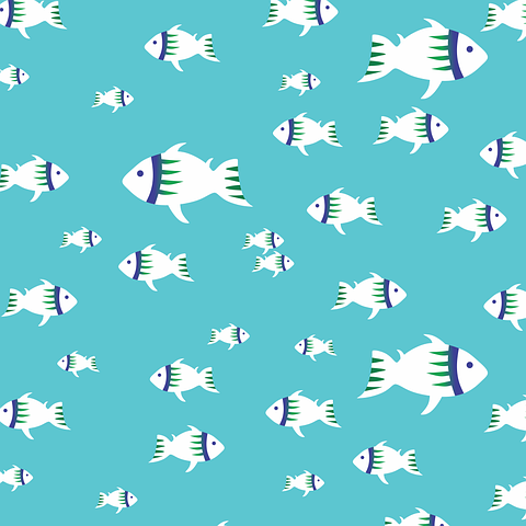 50+ Free School Of Fish &amp; Fish Images