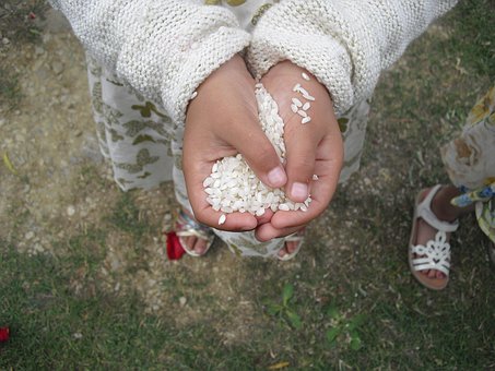 Free Rice Wedding photo and picture