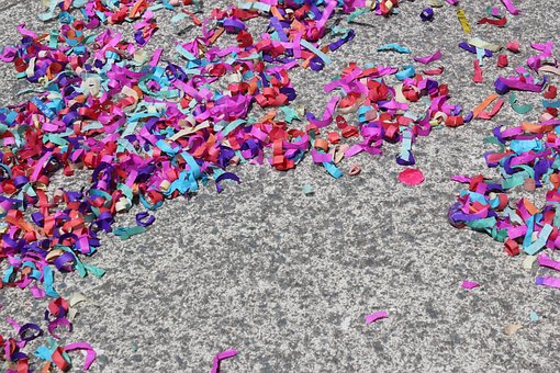Free Family Roses photo and picture