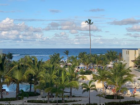 Palmen, Palme, Strand, Insel, Tropisch