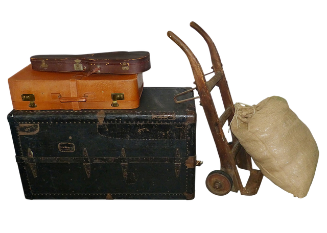 Free luggage suitcase sack illustration