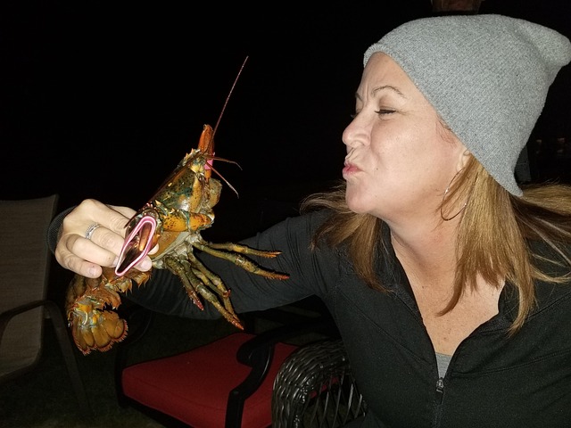 Free Party Crab photo and picture