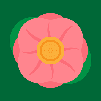 Blomst, Plante, Kronblade