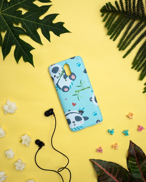 Free Flat-Lay Photography photo and picture