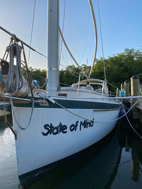 Free Boat Sea photo and picture