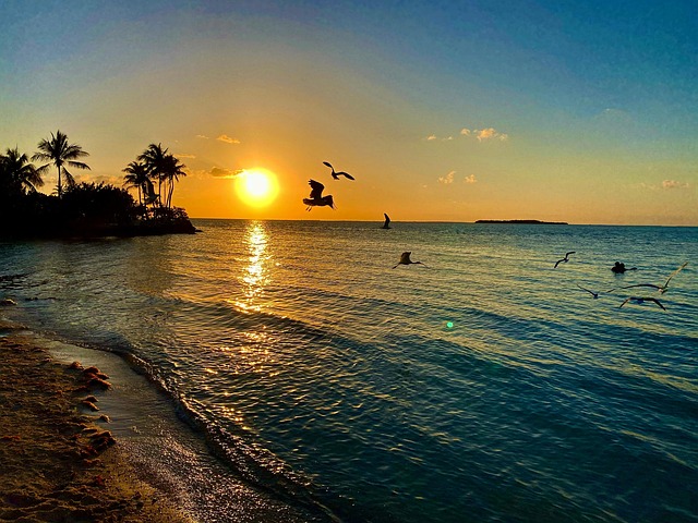 Free Sunshine Sunset photo and picture
