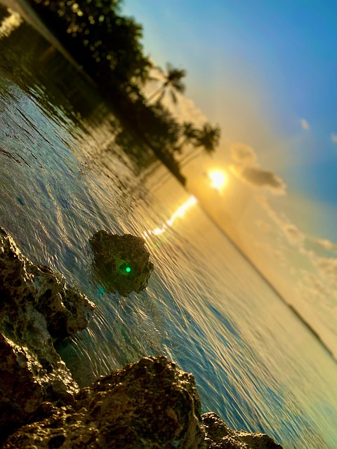 Free Beach Sea photo and picture